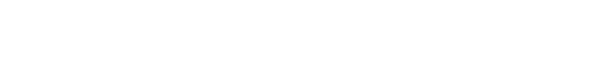 Lion Capital Group